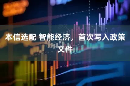 本信选配 智能经济，首次写入政策文件