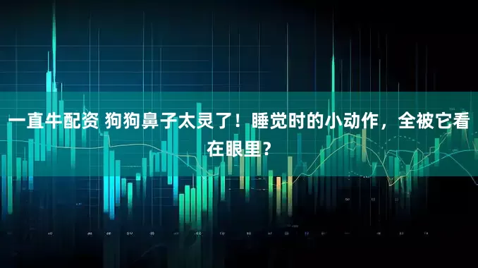 一直牛配资 狗狗鼻子太灵了！睡觉时的小动作，全被它看在眼里？