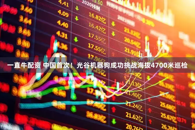 一直牛配资 中国首次！光谷机器狗成功挑战海拔4700米巡检