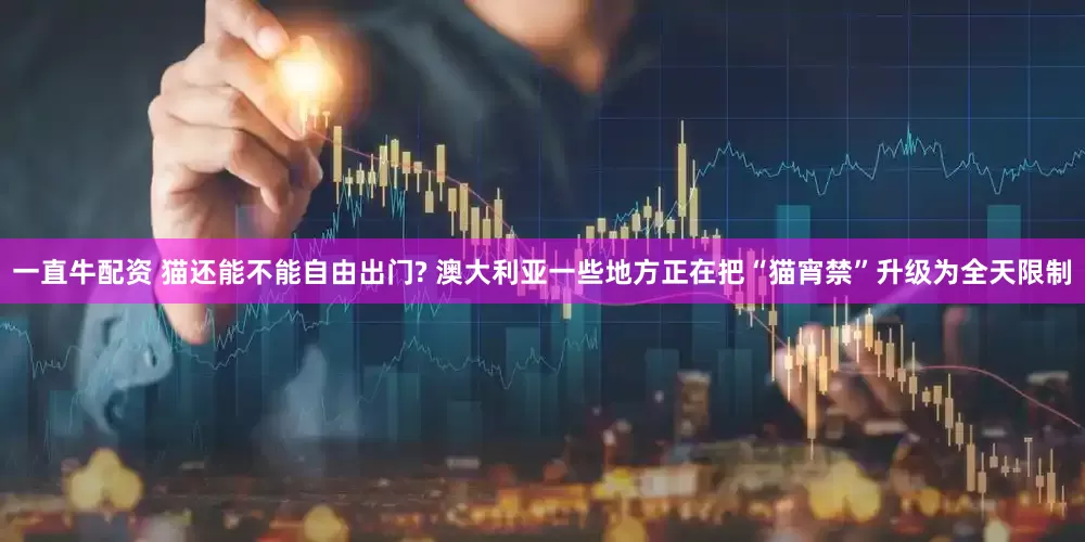 一直牛配资 猫还能不能自由出门? 澳大利亚一些地方正在把“猫宵禁”升级为全天限制
