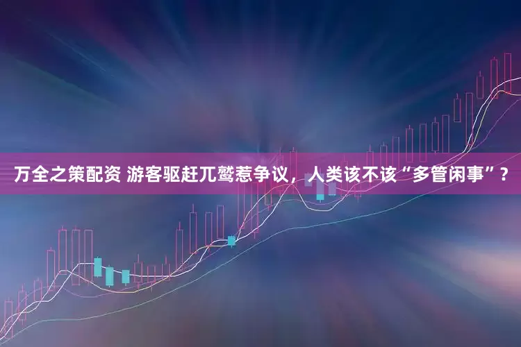万全之策配资 游客驱赶兀鹫惹争议，人类该不该“多管闲事”？
